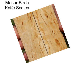 Masur Birch Knife Scales