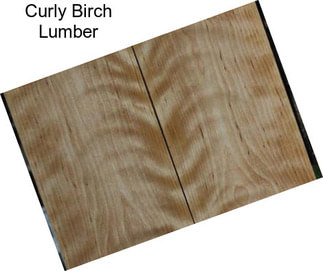 Curly Birch Lumber