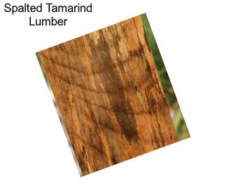 Spalted Tamarind Lumber