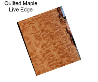 Quilted Maple Live Edge