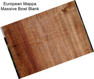 European Mappa Massive Bowl Blank