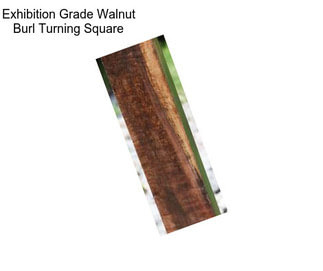 Exhibition Grade Walnut Burl Turning Square