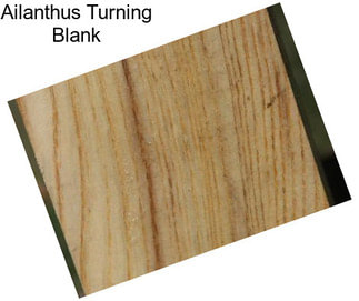 Ailanthus Turning Blank