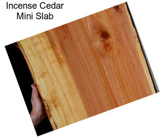 Incense Cedar Mini Slab