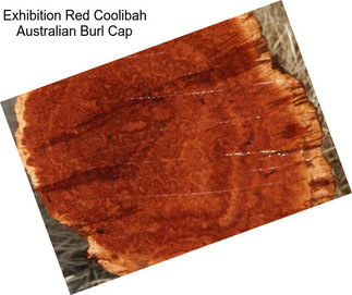 Exhibition Red Coolibah Australian Burl Cap