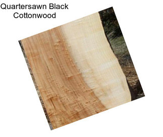 Quartersawn Black Cottonwood