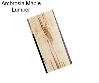 Ambrosia Maple Lumber