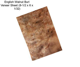 English Walnut Burl Veneer Sheet (8-1/2\