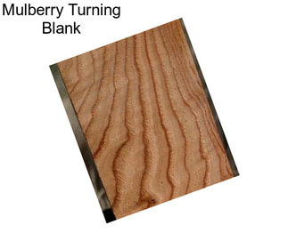 Mulberry Turning Blank