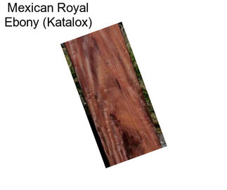 Mexican Royal Ebony (Katalox)