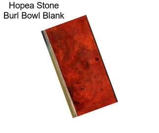 Hopea Stone Burl Bowl Blank