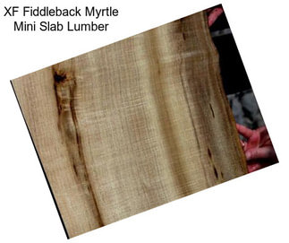 XF Fiddleback Myrtle Mini Slab Lumber