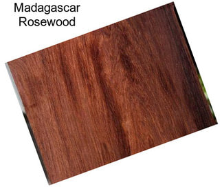 Madagascar Rosewood