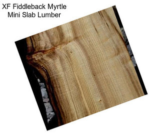 XF Fiddleback Myrtle Mini Slab Lumber