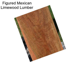 Figured Mexican Limewood Lumber