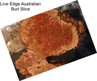 Live Edge Australian Burl Slice