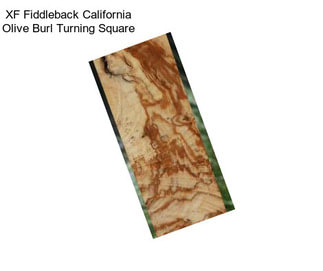 XF Fiddleback California Olive Burl Turning Square
