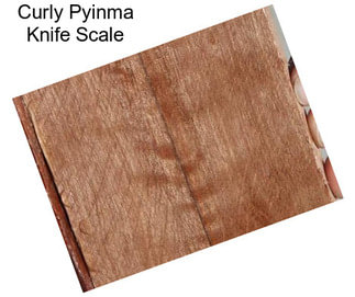 Curly Pyinma Knife Scale