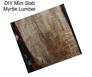 DIY Mini Slab Myrtle Lumber