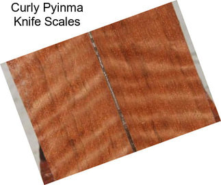 Curly Pyinma Knife Scales
