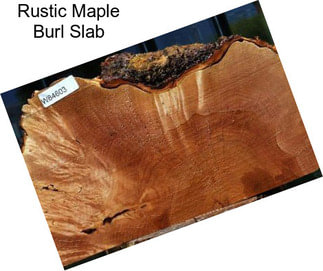 Rustic Maple Burl Slab