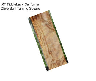 XF Fiddleback California Olive Burl Turning Square