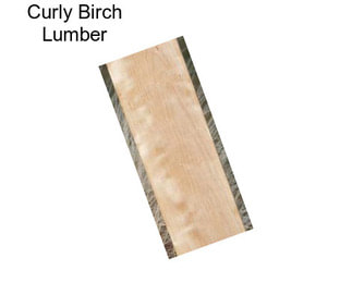 Curly Birch Lumber