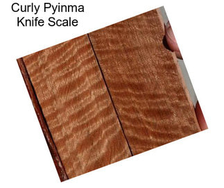 Curly Pyinma Knife Scale