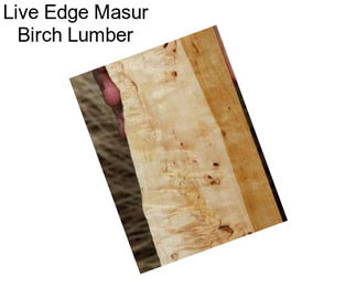 Live Edge Masur Birch Lumber