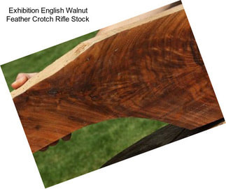 Exhibition English Walnut Feather Crotch Rifle Stock