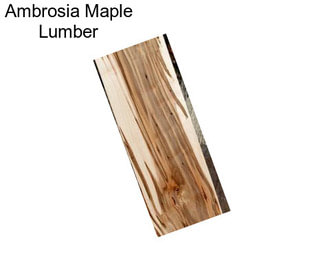 Ambrosia Maple Lumber