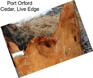 Port Orford Cedar, Live Edge