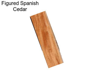 Figured Spanish Cedar