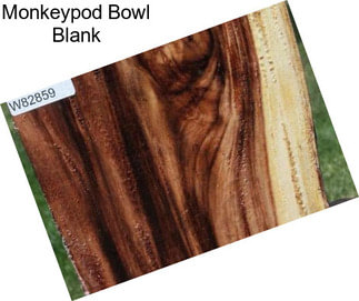 Monkeypod Bowl Blank