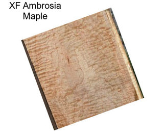 XF Ambrosia Maple