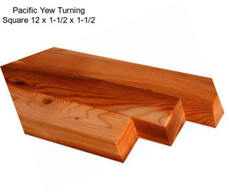 Pacific Yew Turning Square 12\