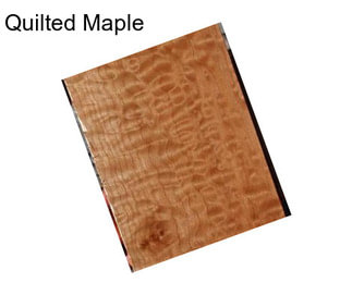 Quilted Maple