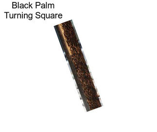 Black Palm Turning Square