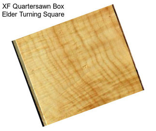 XF Quartersawn Box Elder Turning Square