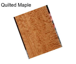 Quilted Maple