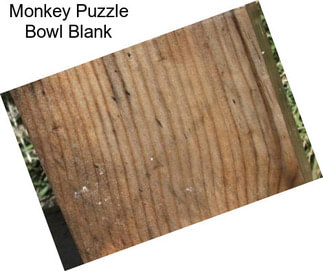 Monkey Puzzle Bowl Blank