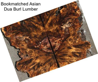 Bookmatched Asian Dua Burl Lumber