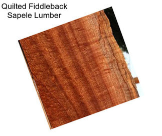 Quilted Fiddleback Sapele Lumber