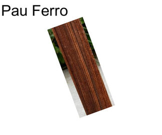 Pau Ferro