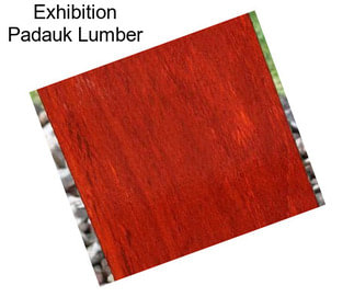 Exhibition Padauk Lumber