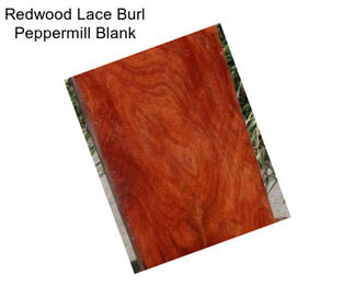 Redwood Lace Burl Peppermill Blank