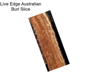 Live Edge Australian Burl Slice