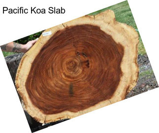 Pacific Koa Slab