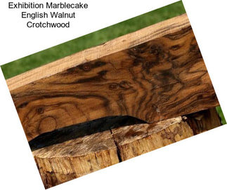 Exhibition Marblecake English Walnut Crotchwood