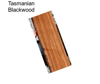 Tasmanian Blackwood